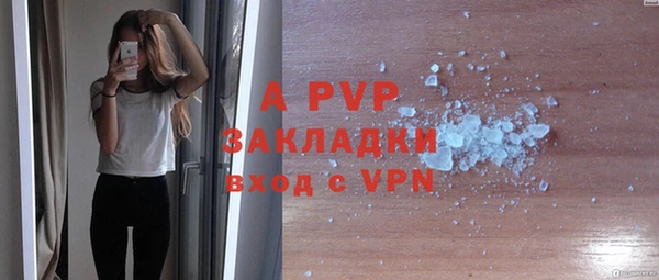 прущие грибы Аркадак