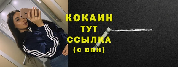 прущие грибы Аркадак