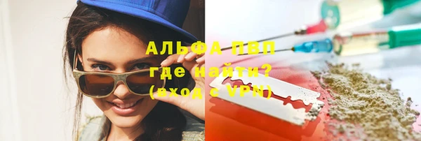 прущие грибы Аркадак