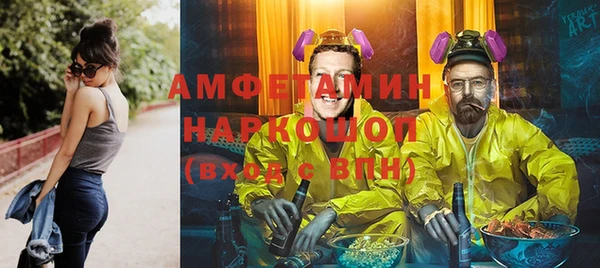 прущие грибы Аркадак