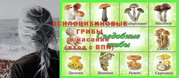 прущие грибы Аркадак